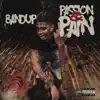 Passion & Pain album lyrics, reviews, download