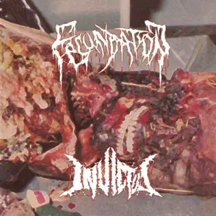 Album herunterladen Fecundation, Invictus - Fecundation Invictus