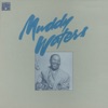Muddy Waters - Blues Before Sunrise