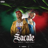 Sacate artwork