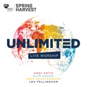Unlimited: Live Worship From Spring Harvest (Live) artwork