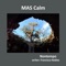 Nontempo - MAS CALM lyrics