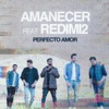 Perfecto Amor (feat. Redimi2) - Single