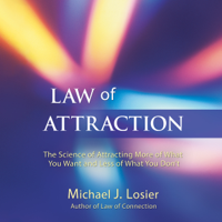 Michael J. Losier - Law of Attraction artwork