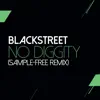 No Diggity (feat. Dr. Dre & Queen Pen) [Sam Wilkes & Brian Green Sample Free Remix] - Single album lyrics, reviews, download