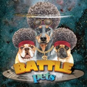 Battle Pets (feat. Dj Zapy & Dj Uragun) artwork