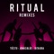 Ritual (Benny Benassi & BB Team Remix) artwork