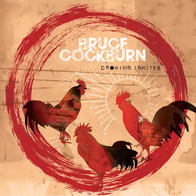 Sweetness and Light - Single - Bruce Cockburn