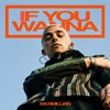 If You Wanna - Single