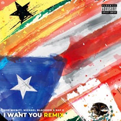 I Want You (Remix) [Remix] - Single