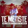 Stream & download Te Metiste - Single