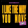 I Like the Way You Move - Single