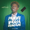 Pamwe Wanga Usingade - Single