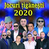 Jocuri Ţigăneşti 2020 artwork