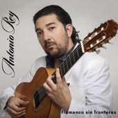 Flamenco Sin Fronteras artwork