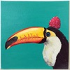 Toucan Song - Single