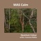 Quantum Colour - MAS CALM lyrics