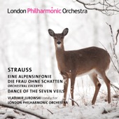 Strauss: Alpine Symphony, Die Frau ohne Schatten & Dance of the Seven Veils artwork