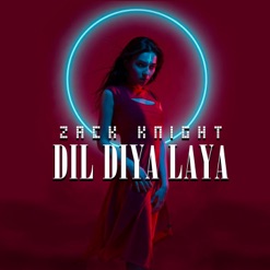 DIL DIYA LAYA cover art