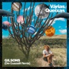 Várias Queixas (Radio Edit) - Single, 2019