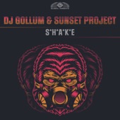 Shake (Lars Palmas & Sunset Project Radio Edit) artwork