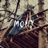 Molly by Pauwel iTunes Track 1