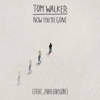 Tom Walker - Now You're Gone (feat. Zara Larsson) [Radio Edit] artwork