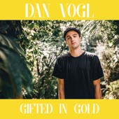 Dan Vogl - I Feel It All