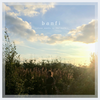 Banfi