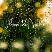 Lluvia De Noche artwork