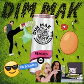 Dim Mak Greatest Hits 2019: Remixes artwork