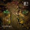 Sonorous - Techno Playground, Vol. 1