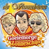 Goeiemorge Zonneschijn artwork