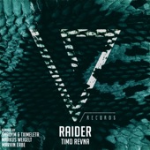 Raider (Markus Weigelt Remix) artwork