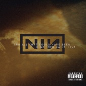 Terrible Lie by Nine Inch Nails