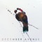 Bakas Ng Talampakan - December Avenue lyrics