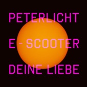 …e-scooter deine Liebe! artwork