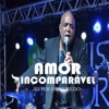 Amor Incomparável (feat. Joyce Figueiredo) - Single