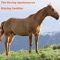 Blazing Saddles - The Roving Apatosaurus lyrics