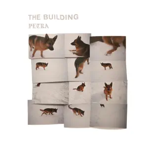 lataa albumi The Building - Petra