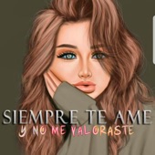 Siempre Te Ame y No Me Valoraste artwork