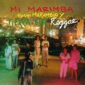 Mi Marimba (Remastered) artwork