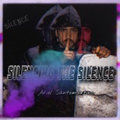 Silencing the Silence artwork