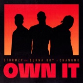 Own It (feat. Burna Boy & CHANGMO) artwork