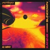 Sundown - Single