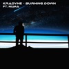 Burning Down (feat. Numa) - Single