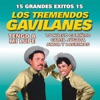 15 Grandes Éxitos