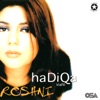 Roshni, 1999