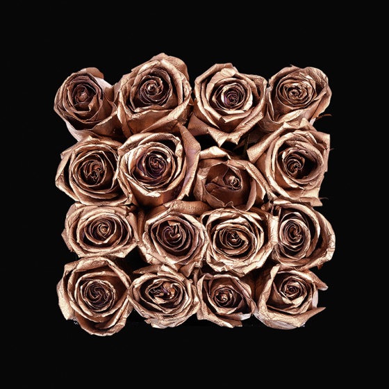 Cover artwork for Rose Gold