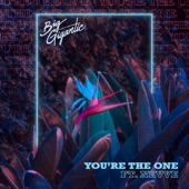 Big Gigantic - You’re The One